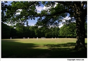 17. Cricket at Chesham Bois